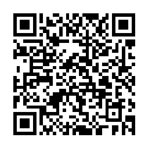 他绝对会立刻扑过去将叶问天撕成碎片以解心头只恨二维码生成