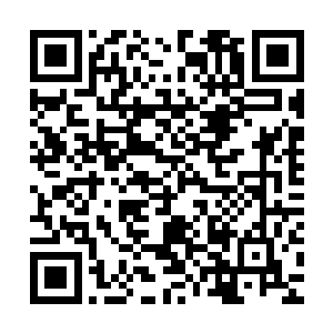 他绝对有信心击败除了许紫烟之外的千符峰其他的所有真传弟子二维码生成