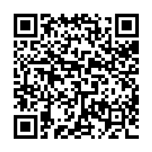 他老人家不是已经为大家准备了可以用灵力驱动的扁舟吗二维码生成