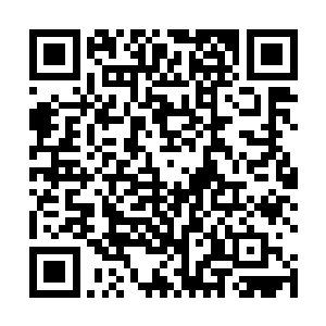 他耗费众多五彩神晶换取万骨楼的强者一次出手的机会二维码生成