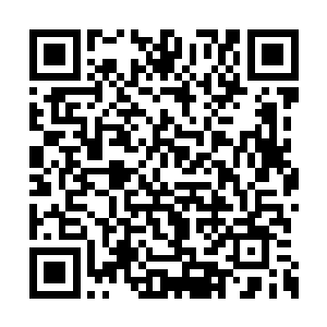 他能够感受到噬心虫在叶莫的心相不停的撕咬着二维码生成