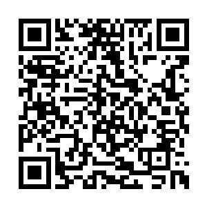 他能够清晰地看到下方村民们脸上的惊慌和恐惧二维码生成