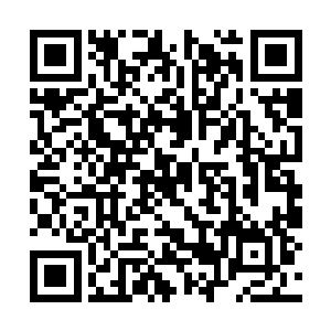 他能清晰无误的看着自己身体现在修炼的一切过程二维码生成