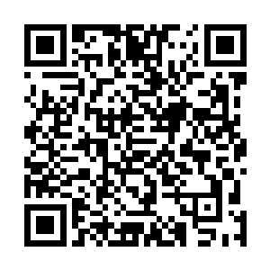 他能赌的就是童云松在姓格上的相对温和和气度上的宽广二维码生成