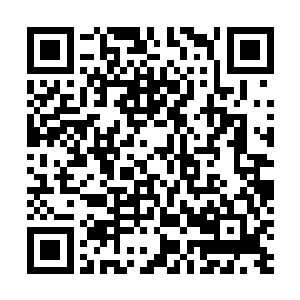 他脑中闪过伊布提起海精灵女王时惊恐不安的样子就头疼二维码生成