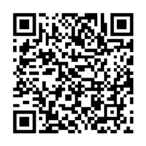 他自然也不会傻到真的将苍茫山的势力往墨修尧的身上推二维码生成