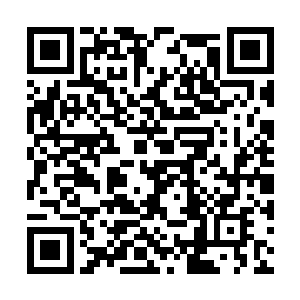他自然希望雷惊夭能直接用幻灭梦光让他们睡过去二维码生成