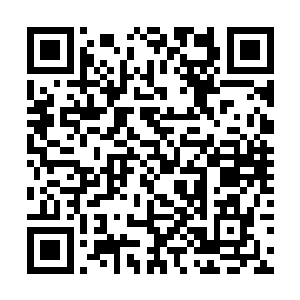他自然是瞬间就认出了许紫烟等人乘坐的是一只鲲鹏二维码生成