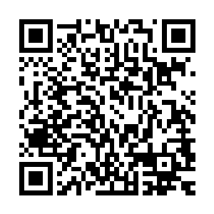 他自然能通过一些气息来判断出这一次这龙族后裔跃龙门的结果二维码生成