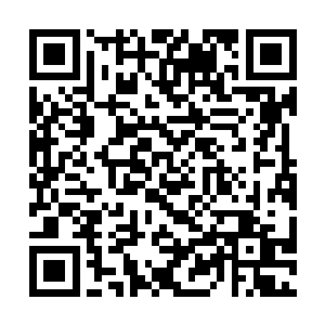 他获得了36点夜行人专属技能点和42点的生命值加成二维码生成