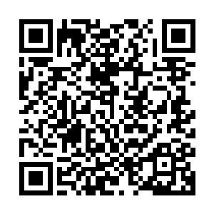 他虽然已经从李月茹的口中知道了能力拥有者的一些等级和情况二维码生成