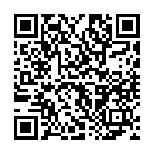 他虽然来这学校的主要目的是为了寻找四大美女的转世二维码生成