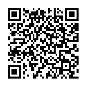 他被那神秘半步皇级炼药师的丹药压制的快踹不过去了二维码生成
