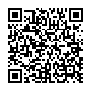 他要一口气把天神宫在文心国内埋藏的大部分暗子都挖出来二维码生成