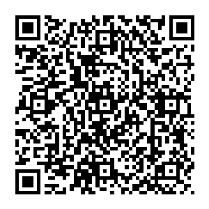 他要做的第一件事就是干掉这个曾经实力与他相当的半步至尊境强者……费伦以及甘比诺家族将如何处置二维码生成