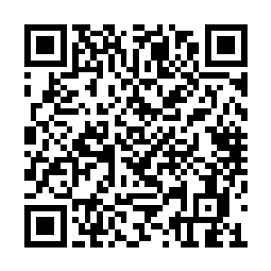 他要是对上龙傲天的话绝对没有任何取胜的机会二维码生成