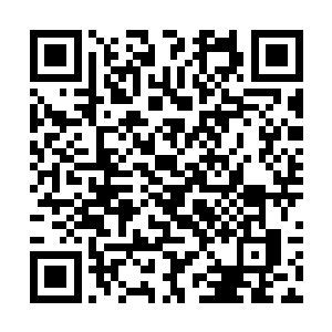 他要给吃了雄心豹子胆的东岛一街统领府一个下马威二维码生成