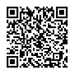 他要趁着暗黑潮汐消失的这段时间对这场域进行一番了解二维码生成