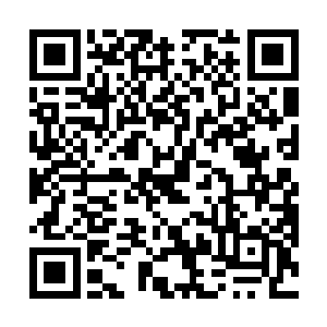 他见顾倩琳表面上屈服但目光里却透着一丝倔强和不齿二维码生成