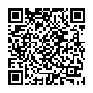 他觉得像苏凡这样的乡巴佬肯定没有见过如此大的别墅区二维码生成