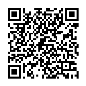 他觉得在学校那个纯净的地方可以让自己的心态变得很年轻二维码生成