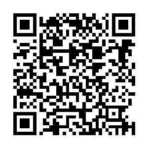他觉得梓箐跟以前真的变了好多……身上的游泳圈没有了二维码生成