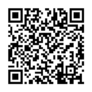 他觉得自己就像是一只被丢到抽水马桶里的苍蝇二维码生成