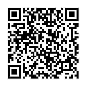 他认为我创造的那些自由生命是虚弱无能的低等生物二维码生成