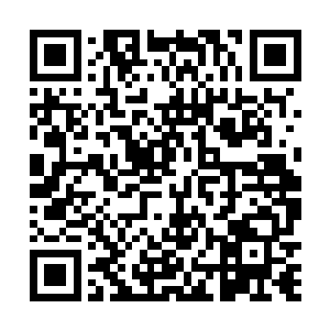 他认为殷蔓蔓之所以积极介入该案都是因为徐虹的缘故二维码生成