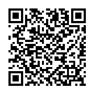 他认为自己可以轻松的一巴掌就将马岚打飞出去二维码生成
