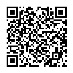 他认为这一下足够给这个小家伙痛彻心扉的教训了二维码生成