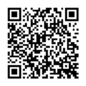 他识海里的这些经验与战意则会帮助他获得更多的力量二维码生成