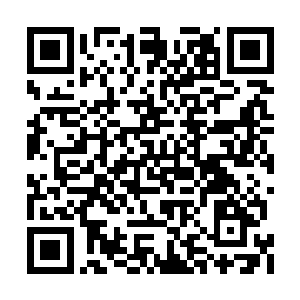 他说他已经和剩下那十几个班的扛把子商量过了二维码生成