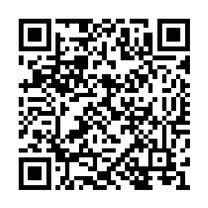 他跟本就没有给她解围裙的机会就把她带上楼了二维码生成