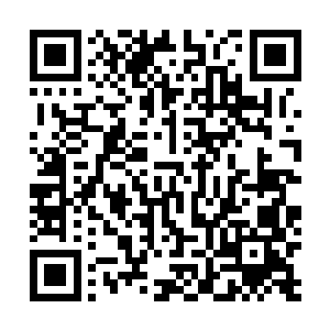 他跟电话里的男生讨论晚上英国和法国队比赛的明星阵容二维码生成