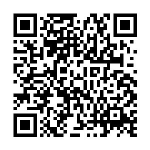 他跟着狼群捕猎的时候就遇到过一大群带着异味的黄羊兽二维码生成