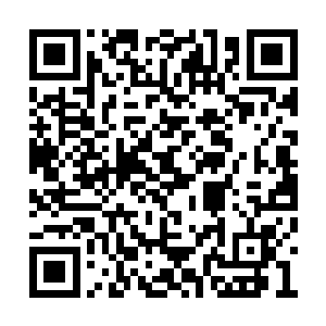 他身为古武世家的继承者竟然不知道自己的长相二维码生成