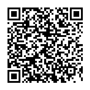 他身后的其他班子成员都觉得可能是某大家族的嫡子或者是未来接班人二维码生成