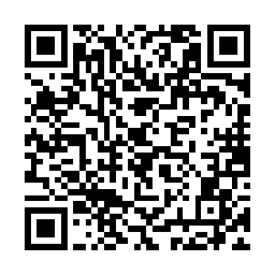 他身后的十几个身穿篮球服的学生也都跟着站了过来二维码生成