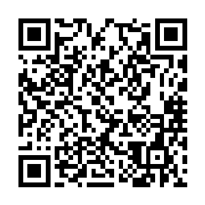 他身周垂下的道道混沌幽光失去了不动如山的深沉二维码生成