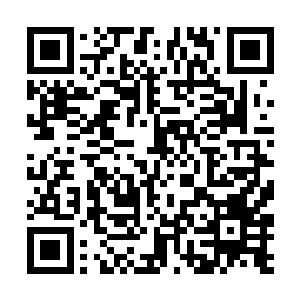 他身子跃动一拳便是朝着陈若风的脸部便是挥了过去二维码生成