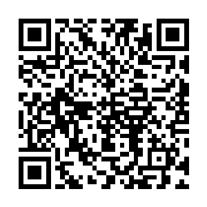 他身边一位打扮得花枝招展的妖冶女人更是咯咯笑了起来二维码生成