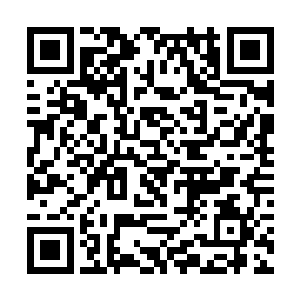 他身边的黑衣人将手按在身侧的宝剑上随时待命出手二维码生成
