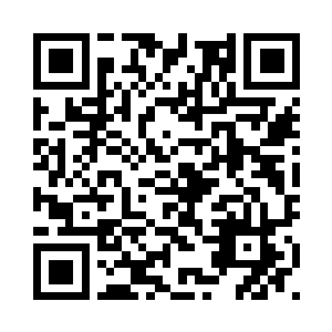 他轻轻的抚摸着小树的树干和枝叶二维码生成