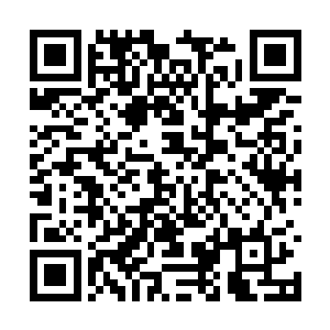 他还以为这几个老家伙连他这个老祖宗都不要了呢二维码生成