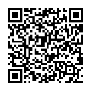 他还发现血族人的体质其实还要强于圣教培养的神灵二维码生成