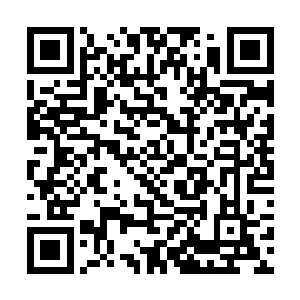 他还只是北方小镇里一个饱受欺凌和奚落的无名之辈二维码生成