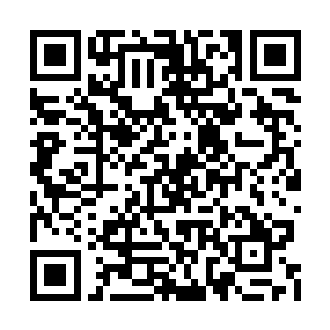 他还在考虑自己动用双生人是否有点小题大做了二维码生成