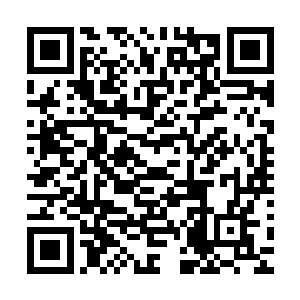 他还尝试建议大刚去金陵自己进修的那个医院里检查一下身体二维码生成