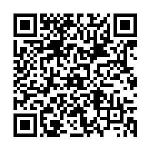 他还没忘了给对面那个身形高大的男人使了个眼色二维码生成